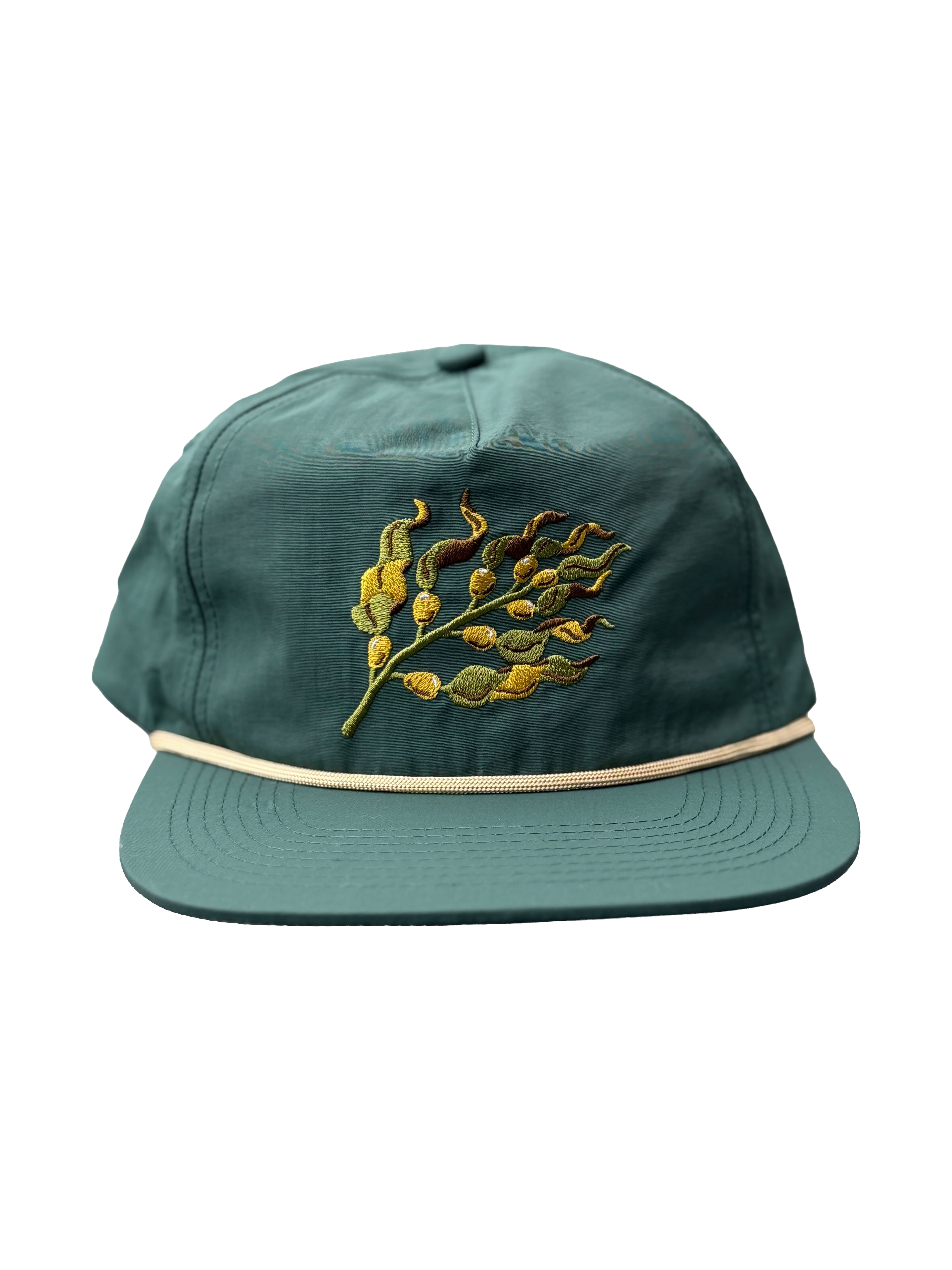 Kelp Hat (men's hat, ball cap, nature gift)